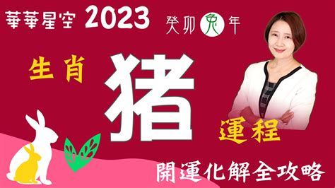 屬豬財位2023|【屬豬2023生肖運勢】運勢風生水起，有閃婚可能｜ 